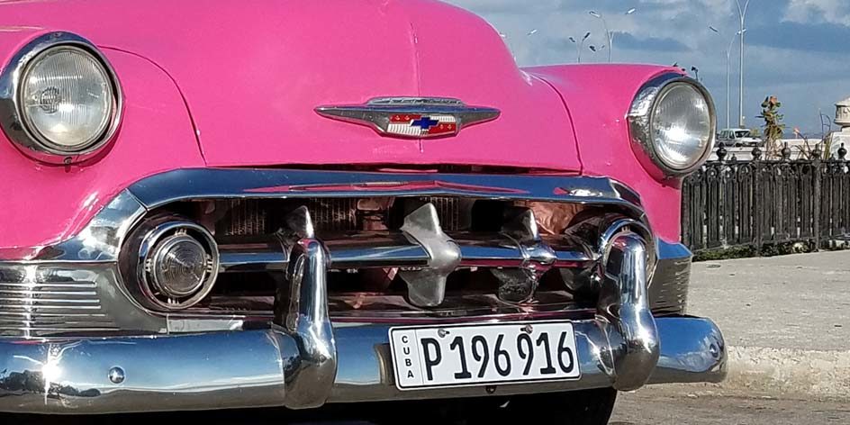 Keep Your Classic Cars Mold-Free