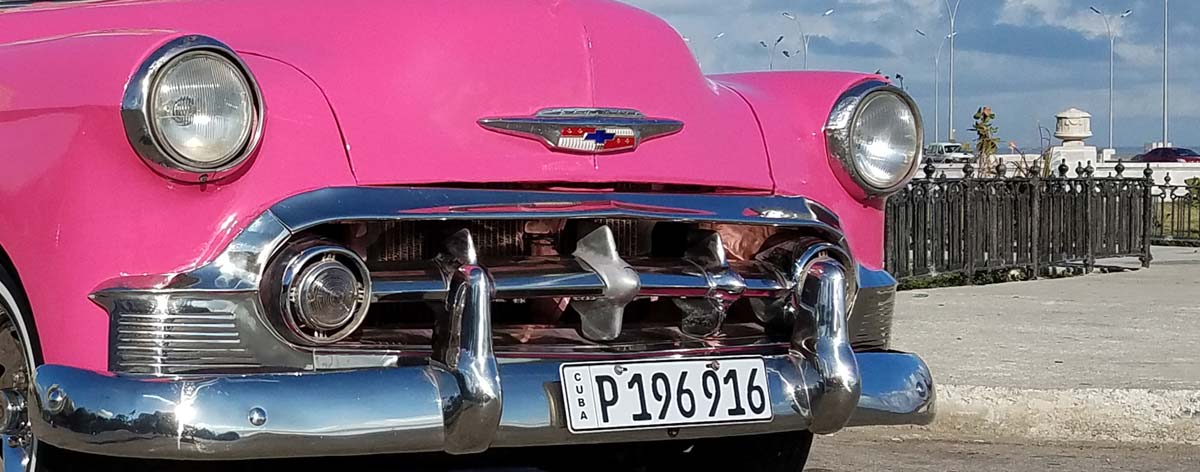 Keep Your Classic Cars Mold-Free